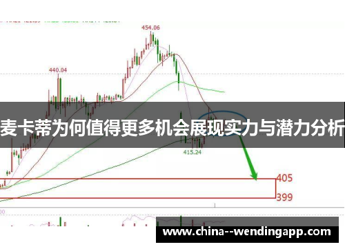 麦卡蒂为何值得更多机会展现实力与潜力分析